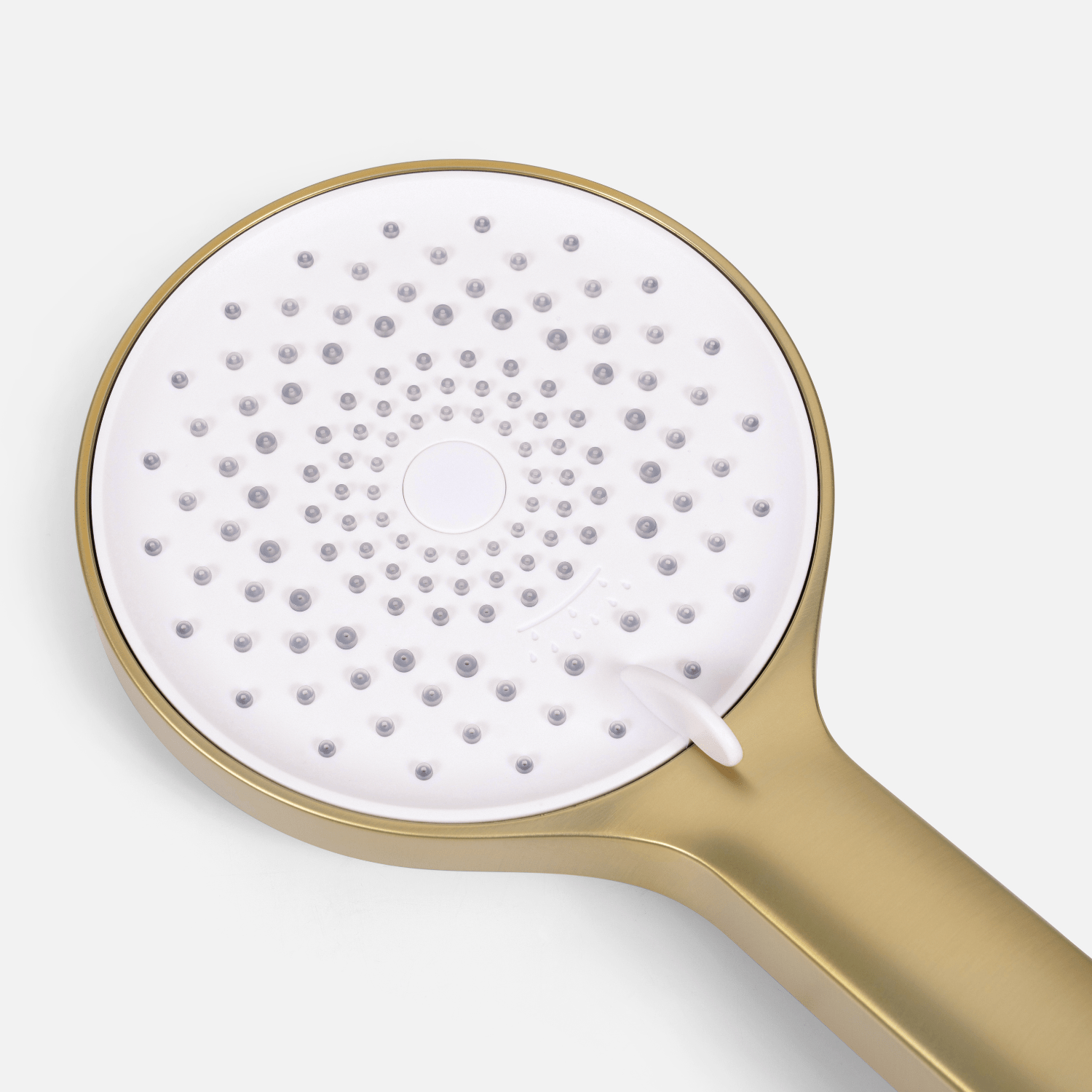 AURELIA - lomazoo.com