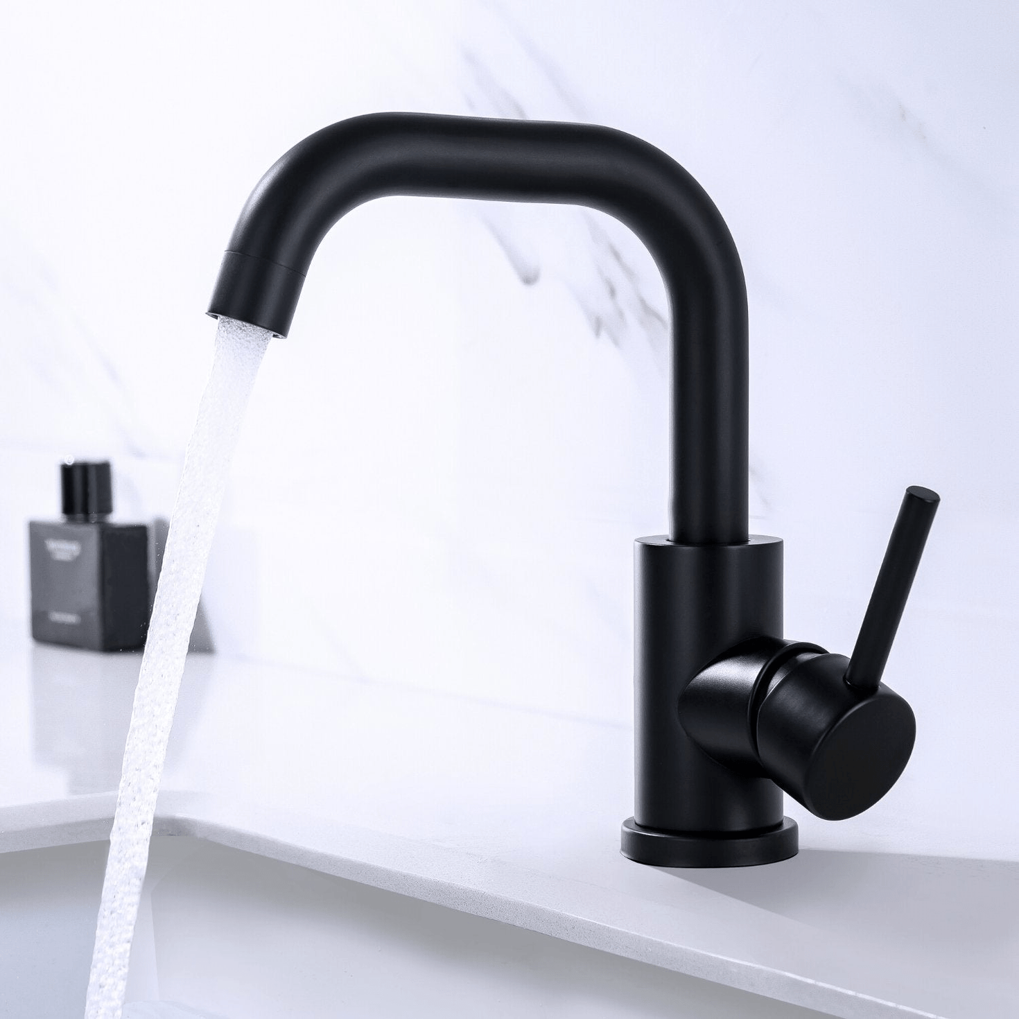 POLLUX - lomazoo.com